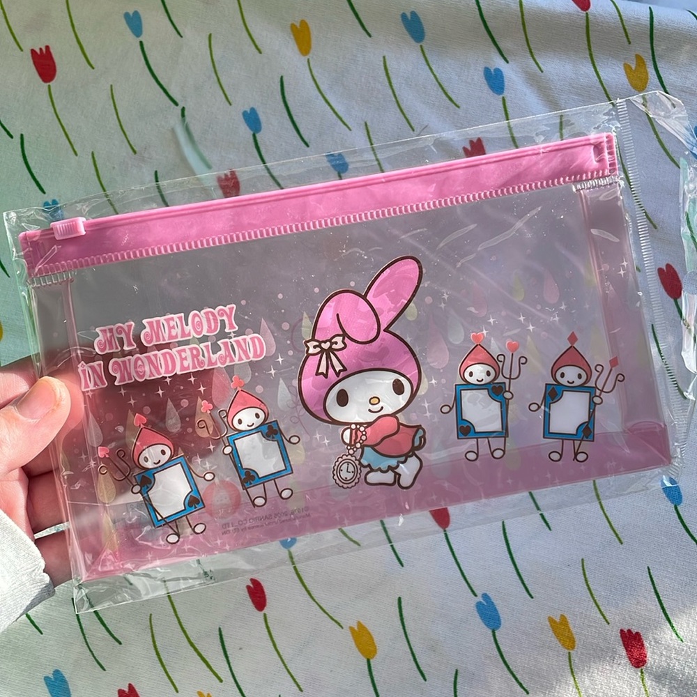 Vintage Sanrio My Melody in Wonderland semiclear plastic case / pencil case 2005